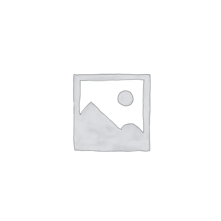 valet-single-motor-upright-standstaubsauger-profi image 1